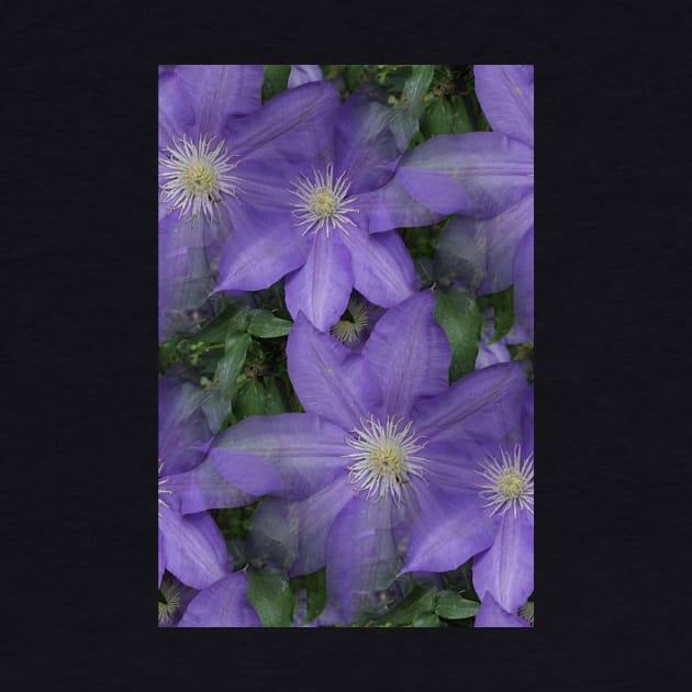 Clematis vine by MJDiesl